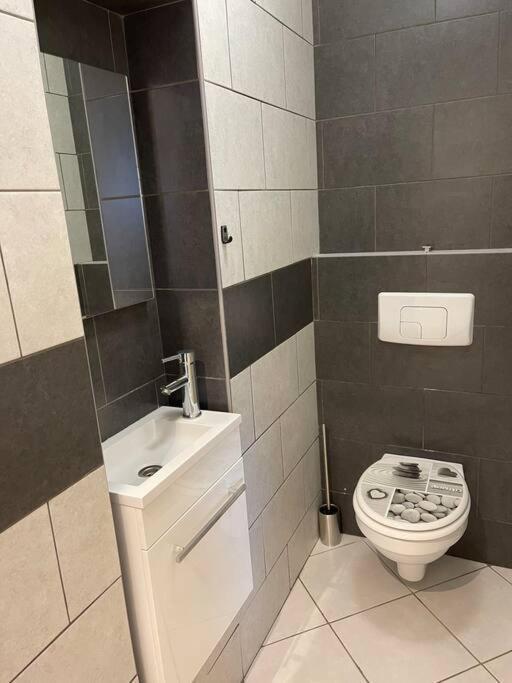 Plein Centre St Des Vosges Appartement *