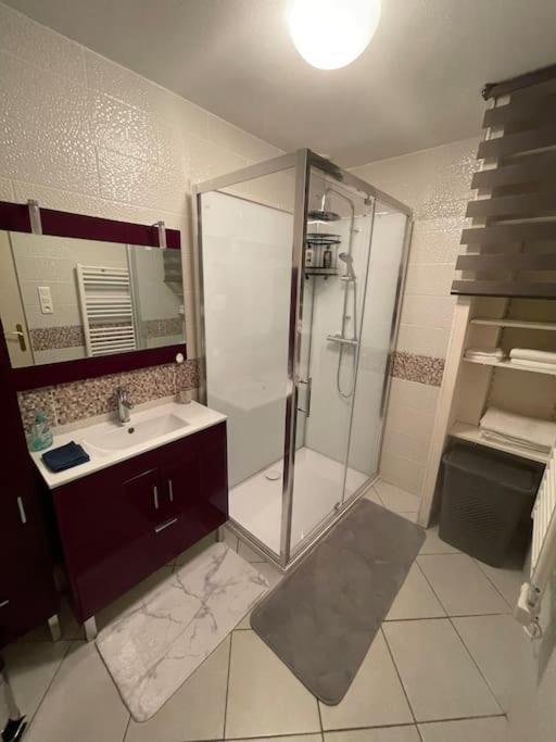 Appartement Plein Centre St Des Vosges Saint-Die-des-Vosges